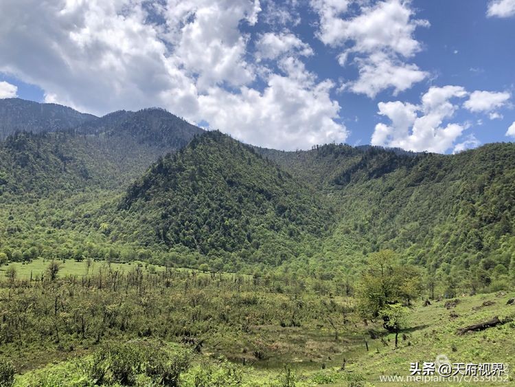 中国百慕大黑竹沟了解一下,穿越黑竹沟揭秘中国百慕大