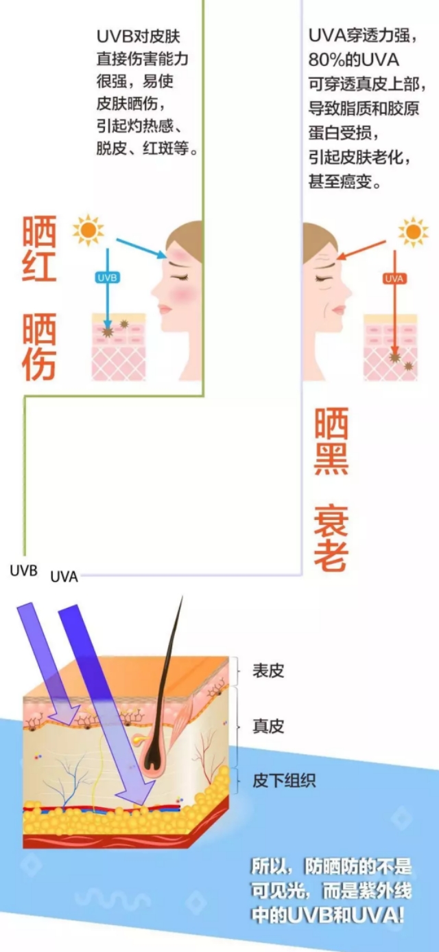 防晒买多少倍就够了,干货防晒知识你知多少