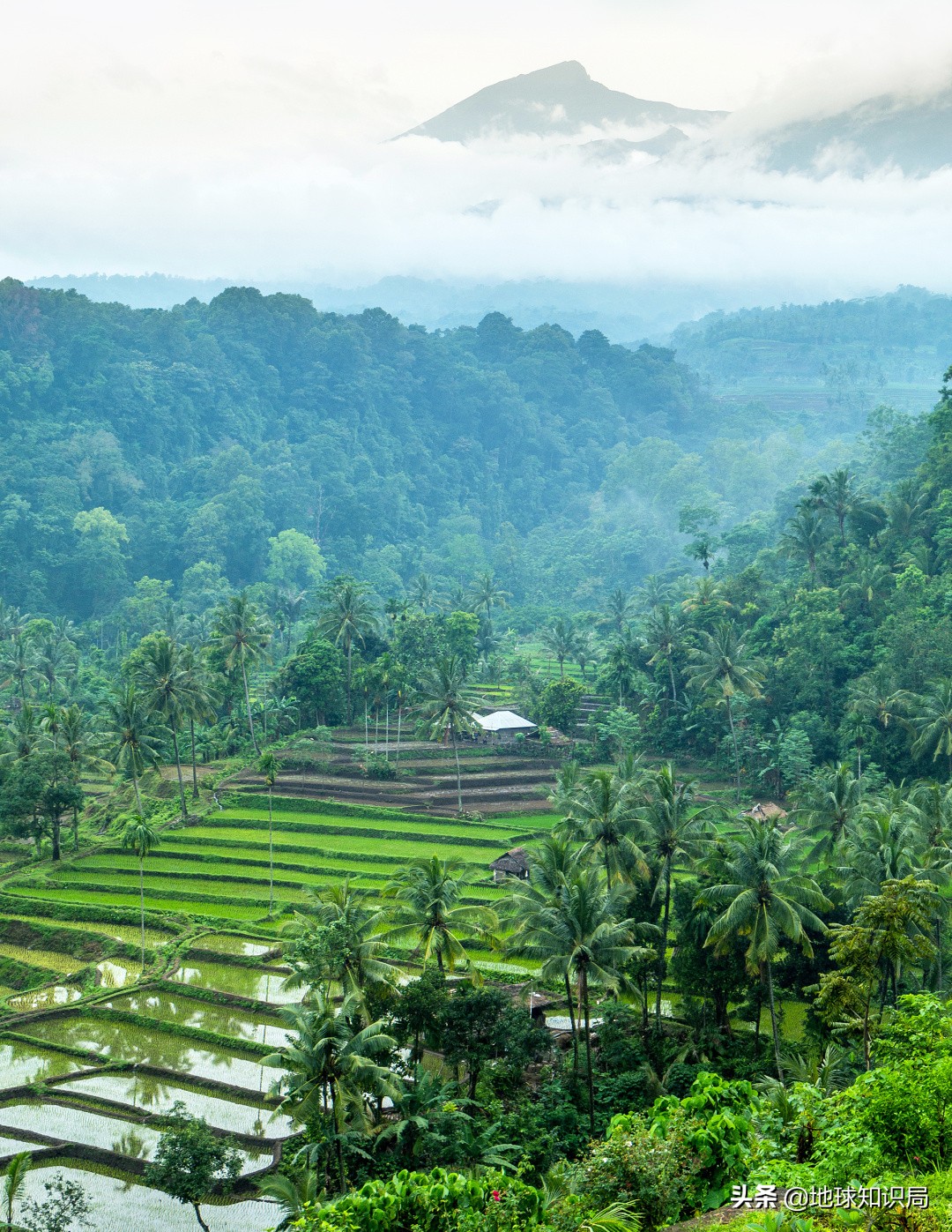 印尼在亚洲的实力排名,印尼有几亿人