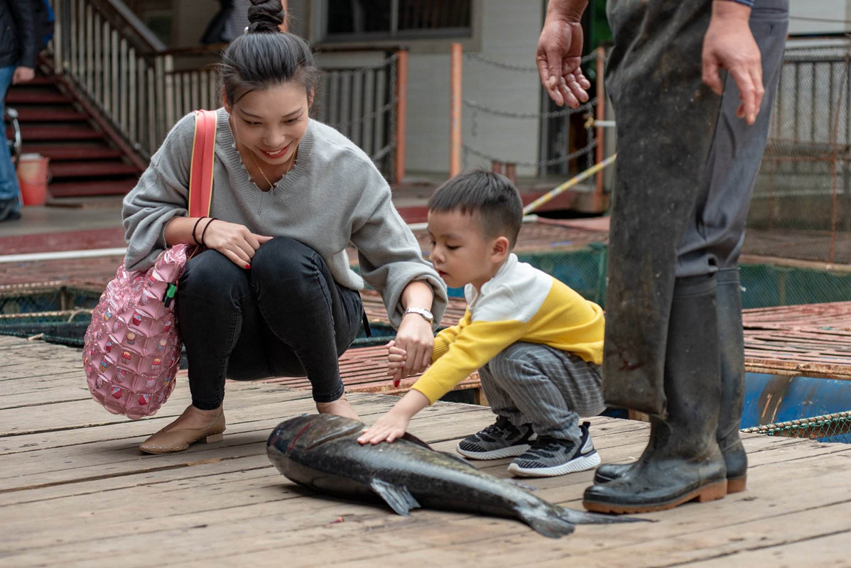 心理学解决孩子缺乏安全感,孩子喜欢这种颜色可能缺乏安全感