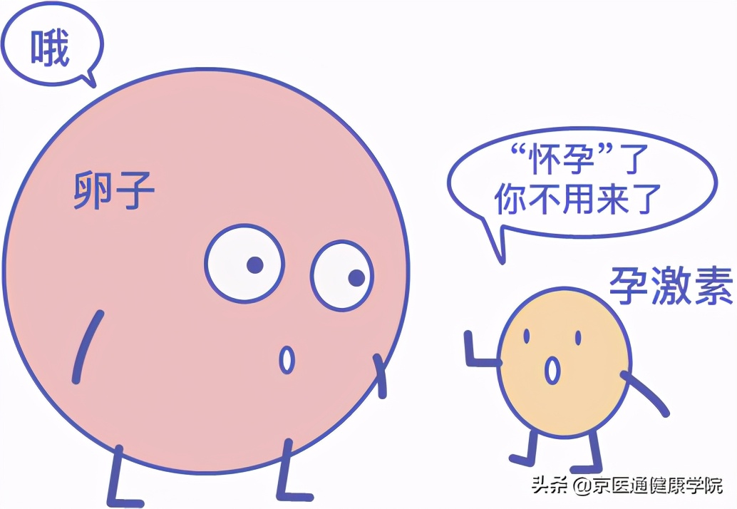 古代避孕最有效的方法,中医紧急避孕补救法大全