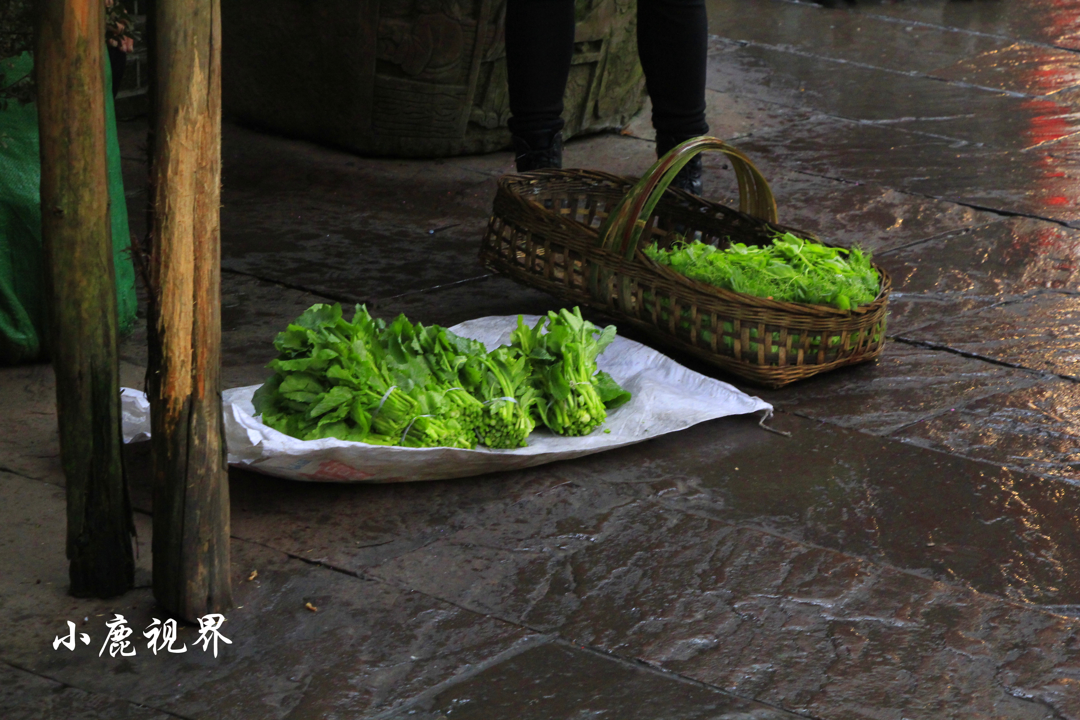 成都耍水的古镇黄龙溪古镇,山水田园黄龙溪古镇