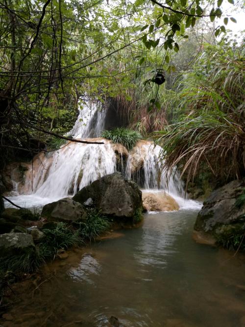 烟台昆嵛山和威海昆嵛山,烟台昆嵛山林场