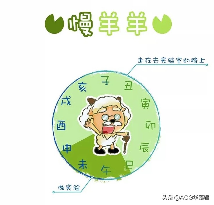 喜羊羊版十二星座,喜羊羊与灰太狼暖羊羊作品