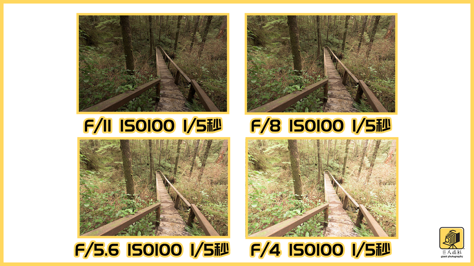 摄影什么是入门级光圈,摄影初学者如何看懂景深
