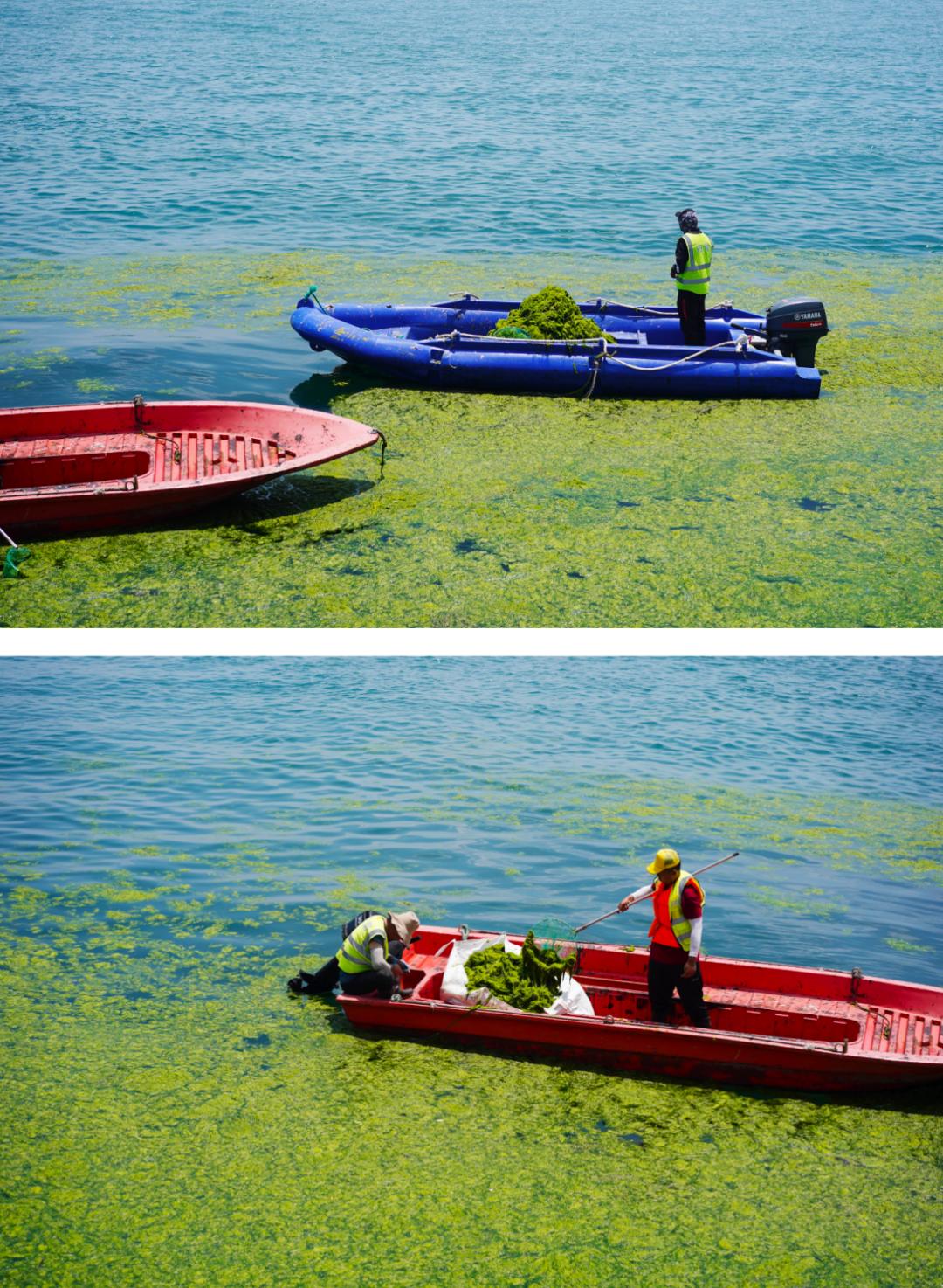 青岛的海给人很惬意,夏天青岛的海边热吗