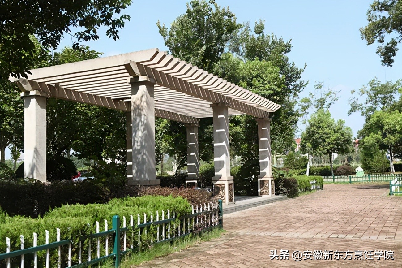 安徽新东方高级技工学校,安徽新东方烹饪技工学校