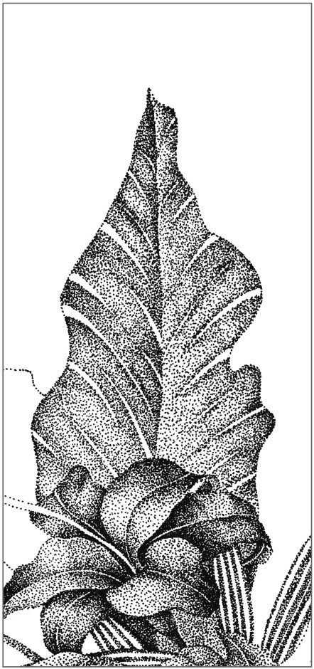 插画绘画教程纸绘,怎么画简单好看的插画教程