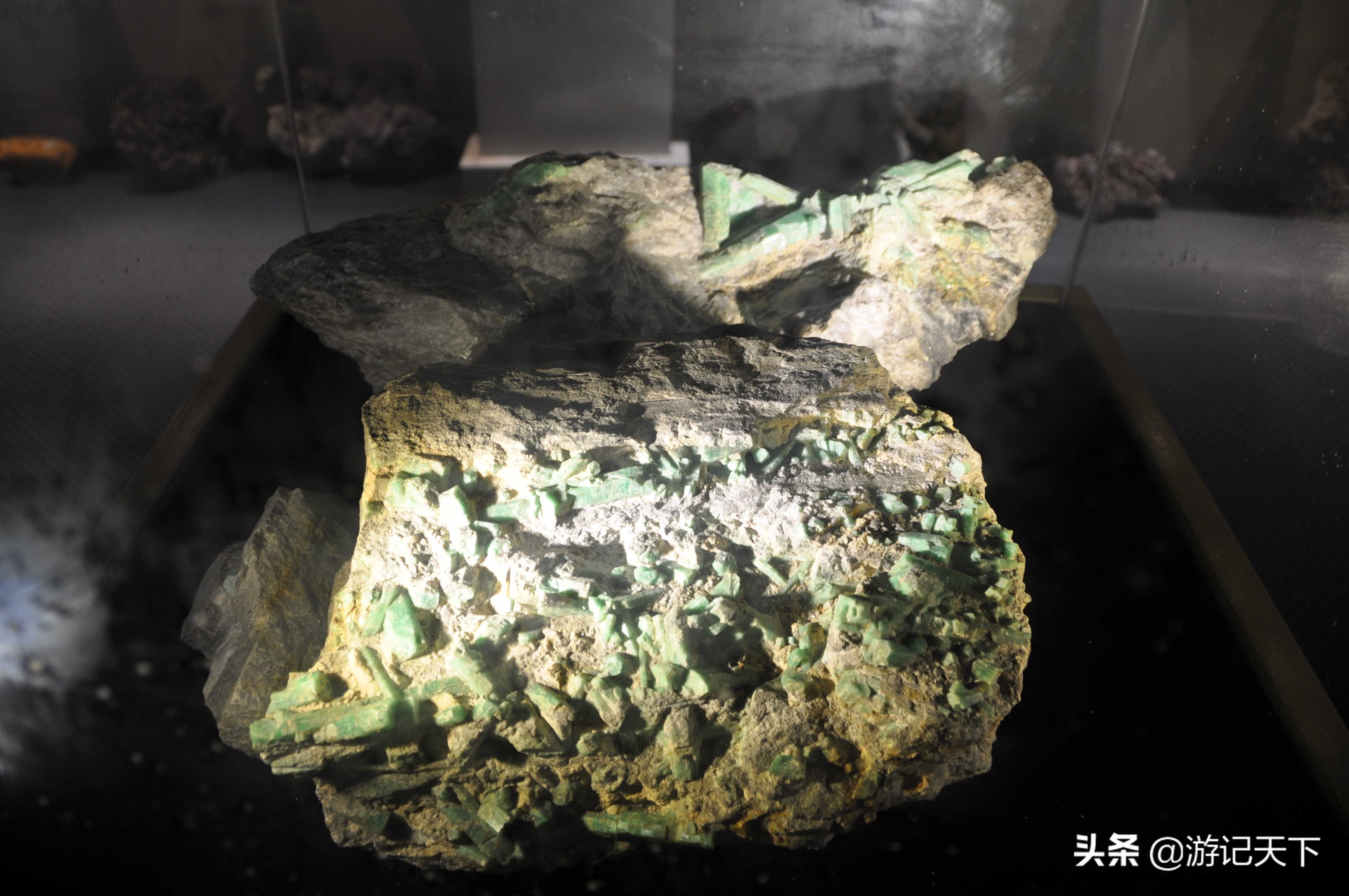 阿尼亚参观博物馆,上海地质科普馆游玩