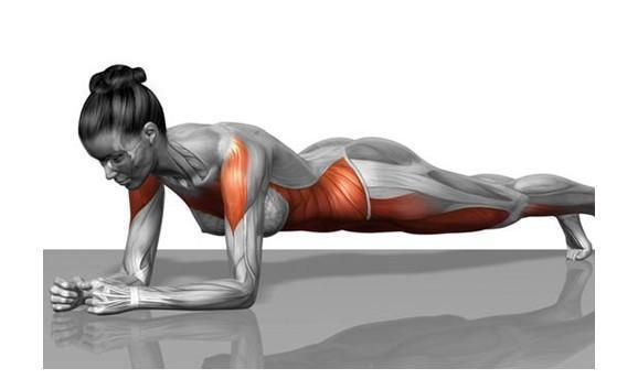 健身房卷腹凳正确教程,健身里的搓衣板