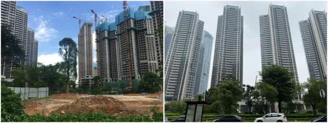 深圳光明究竟有多火？走了一圈才发现，比你想得还夸张