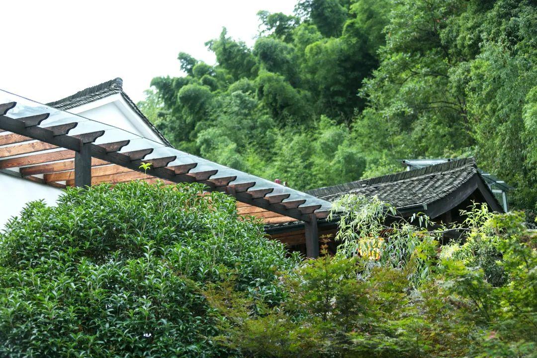 去莫干山玩住什么酒店,莫干山不住民宿纯玩