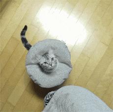 耻辱圈需要一直戴着吗,耻辱圈戴多久可以摘掉