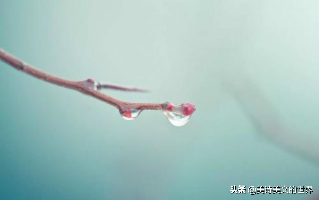 才子在墙上写了首7字诗，不少名家续写，却都不如一位酒鬼对得妙