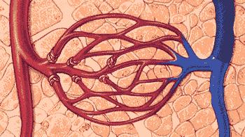 医用弹力袜两条腿都要穿吗,医用弹力袜怎么穿好看