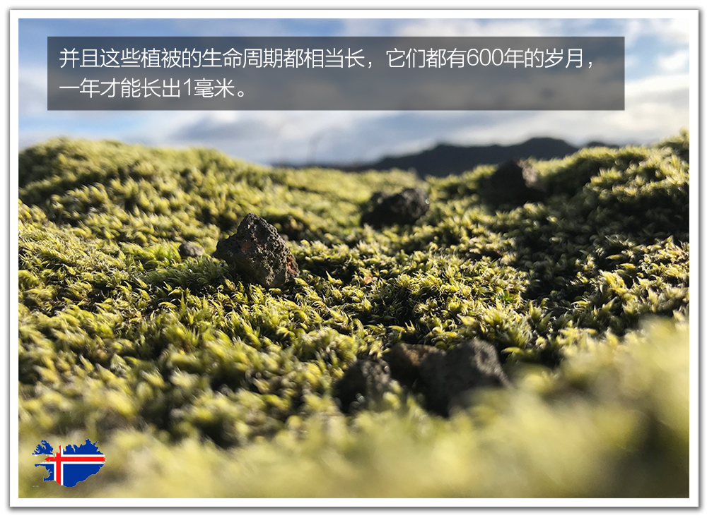 鍐板矝閫旈攼璇曢┚瑙嗛,閫旈攼瓒婇噹娓歌