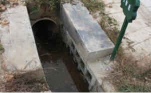 青蛙住“宾馆”，农田会呼吸，这个村发生了啥？