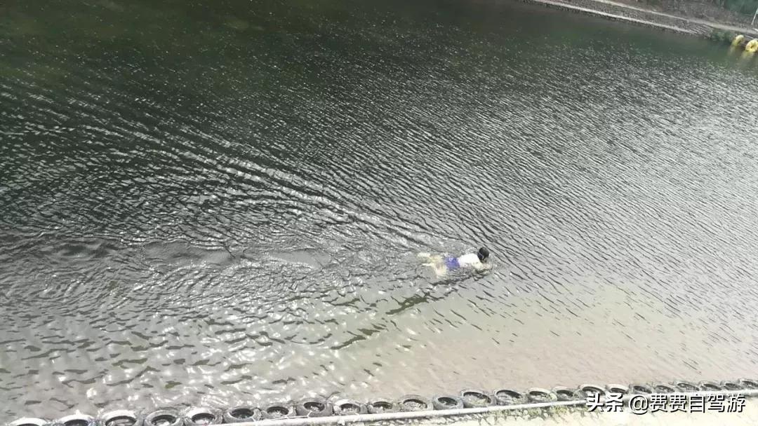 皖浙1号线最美段,皖浙1号风景道全景图