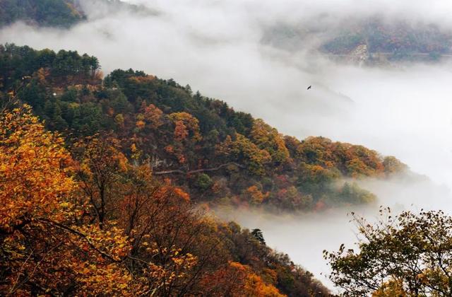 安徽的颜值为什么这么高,安徽的大美风光