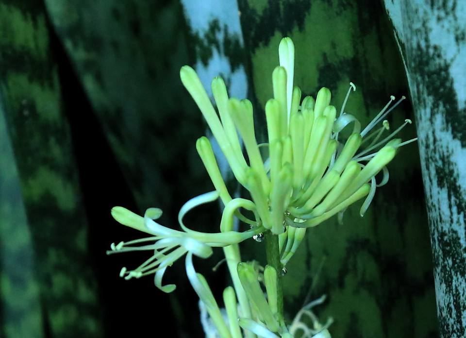 回忆的说说心情句子句句入心坎,句句说入心坎里的文字说说