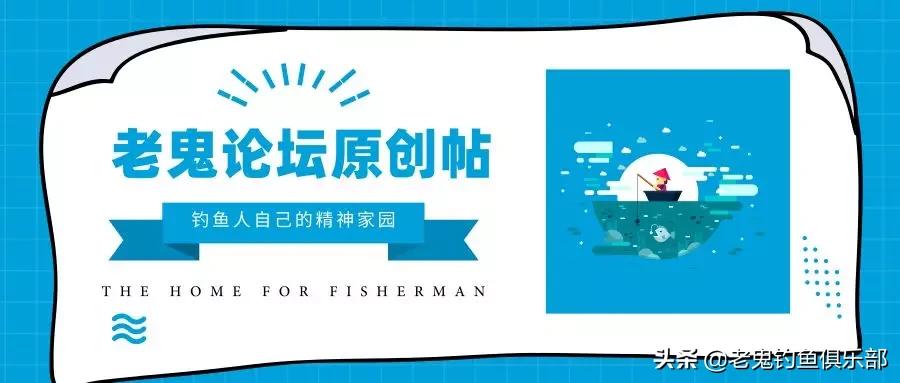 九一八野战篇饵料适合钓什么鱼,野钓九一八