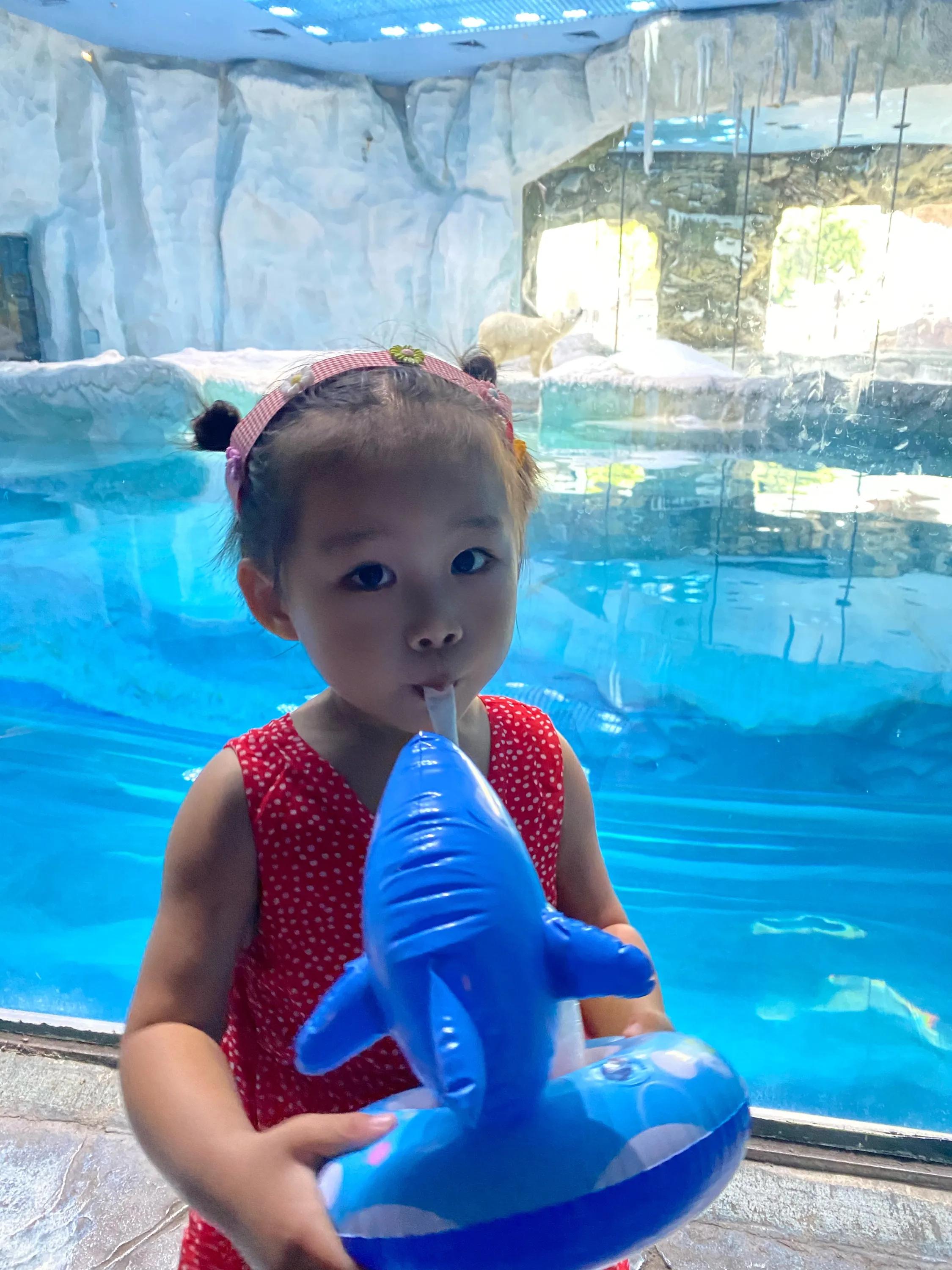 超详细珠海长隆海洋王国攻略,珠海长隆海洋王国攻略最新图片