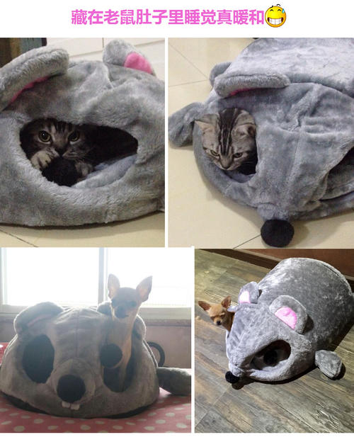 猫最好用什么猫窝,各种猫窝的视频大全