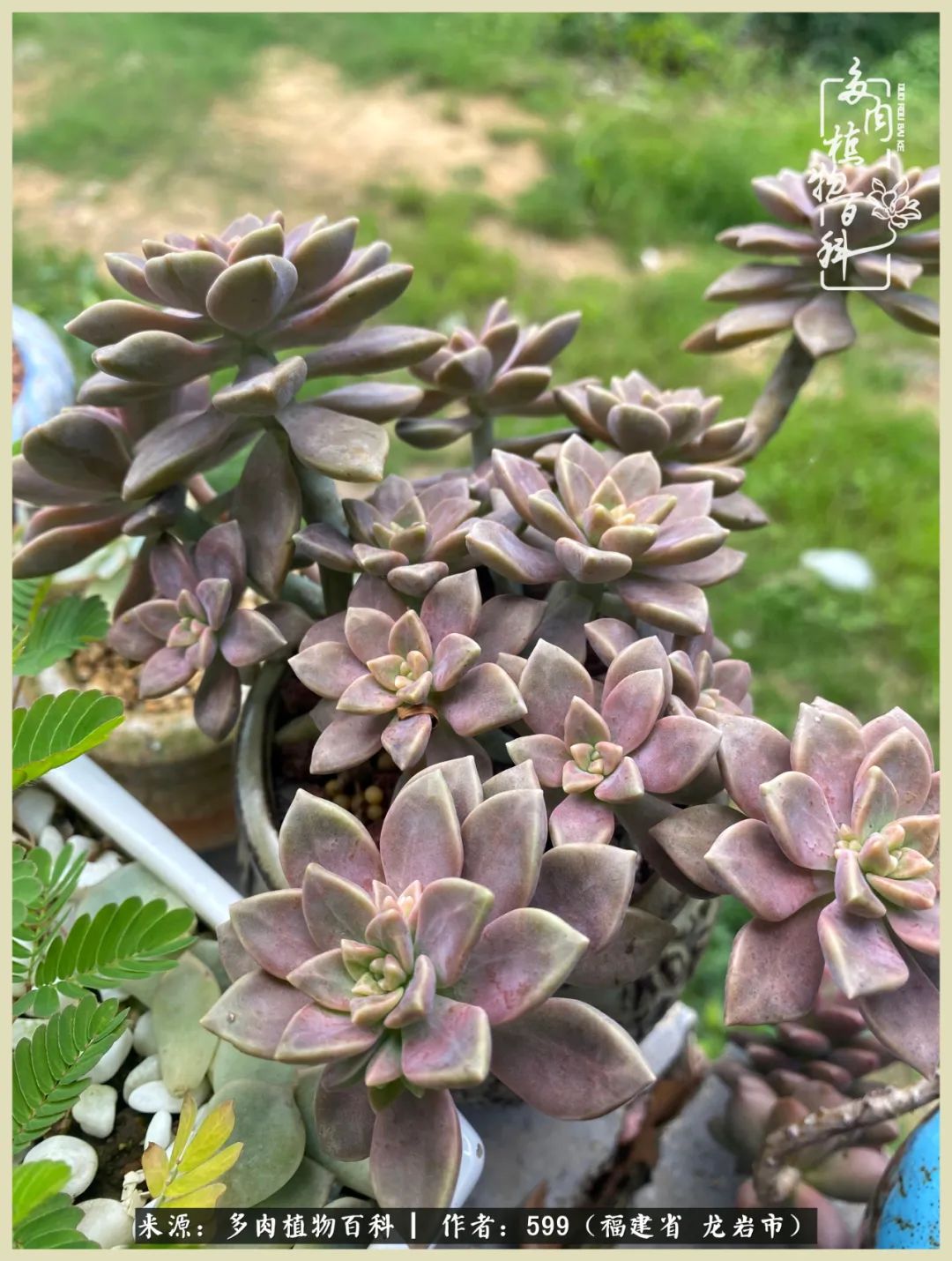 所有的热爱都不遗余力,所有的忙碌都是因为热爱