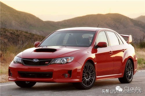 ​近乎残疾，不忍直视|流浪豹STI收养记Vol.01