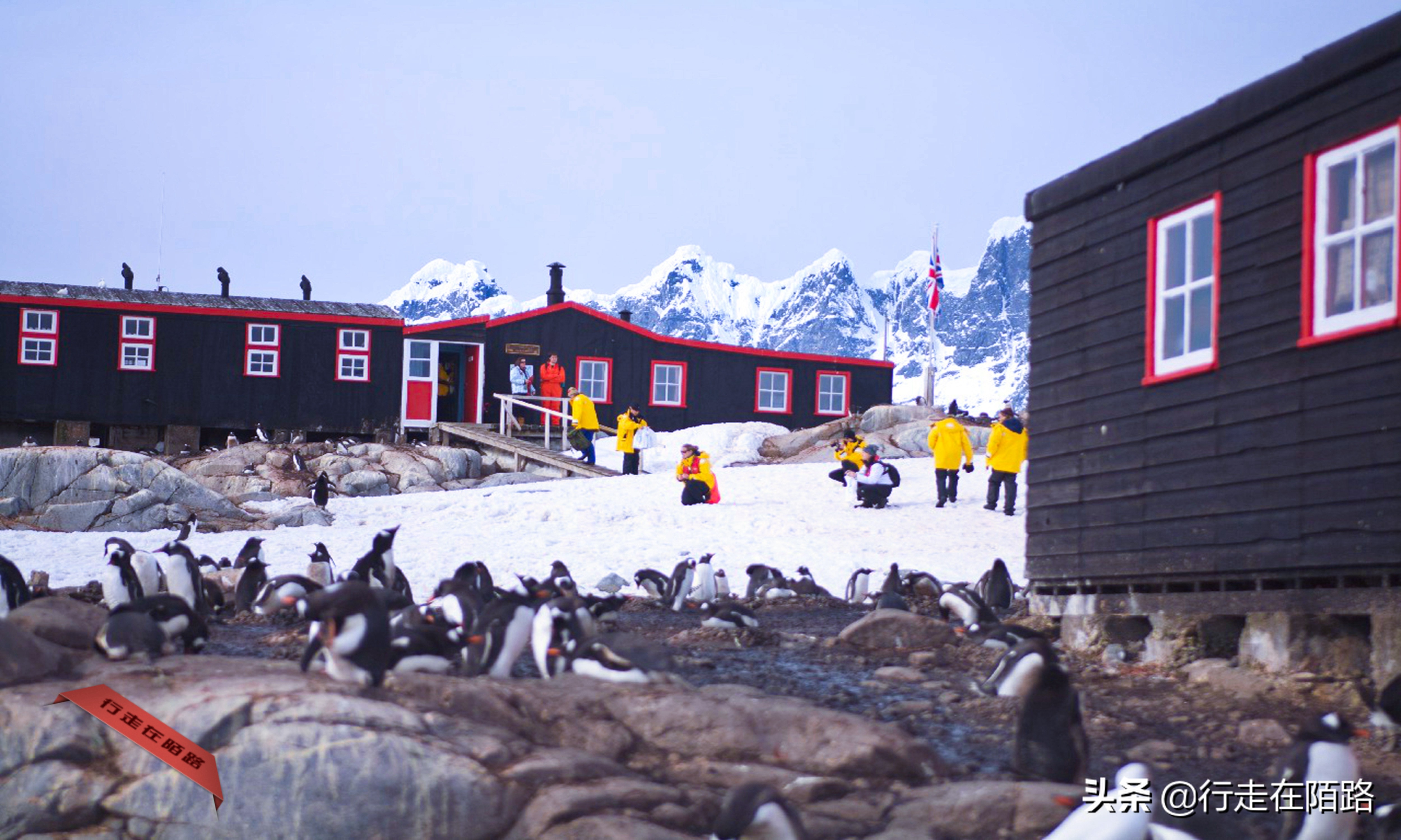 铲屎官招聘,邮局招聘吗