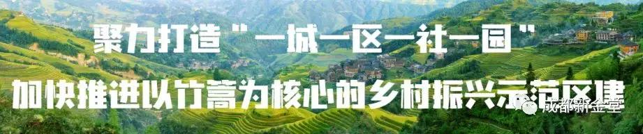大动作规划建设高铁新区,金堂县2023年重大建设项目