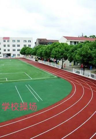 中学操场上的树,中学操场