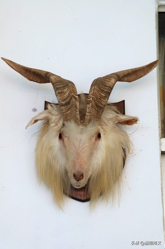 瑙︽懜涔℃剚鍙よ瘲鍥剧墖,瑙︽懜涔℃剚