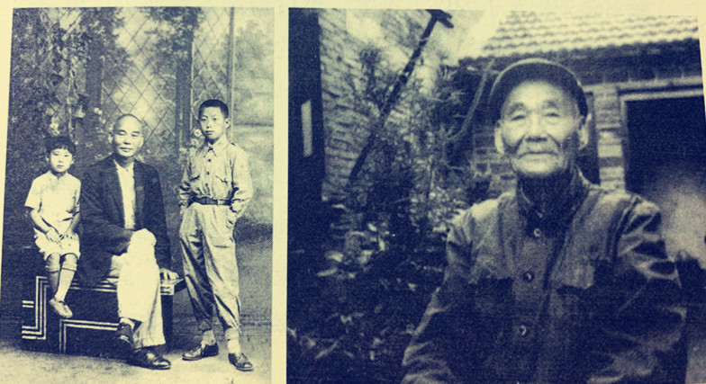 蒋雯丽跟姥爷的故事是真的吗,蒋雯丽和她姥爷的感人故事电影