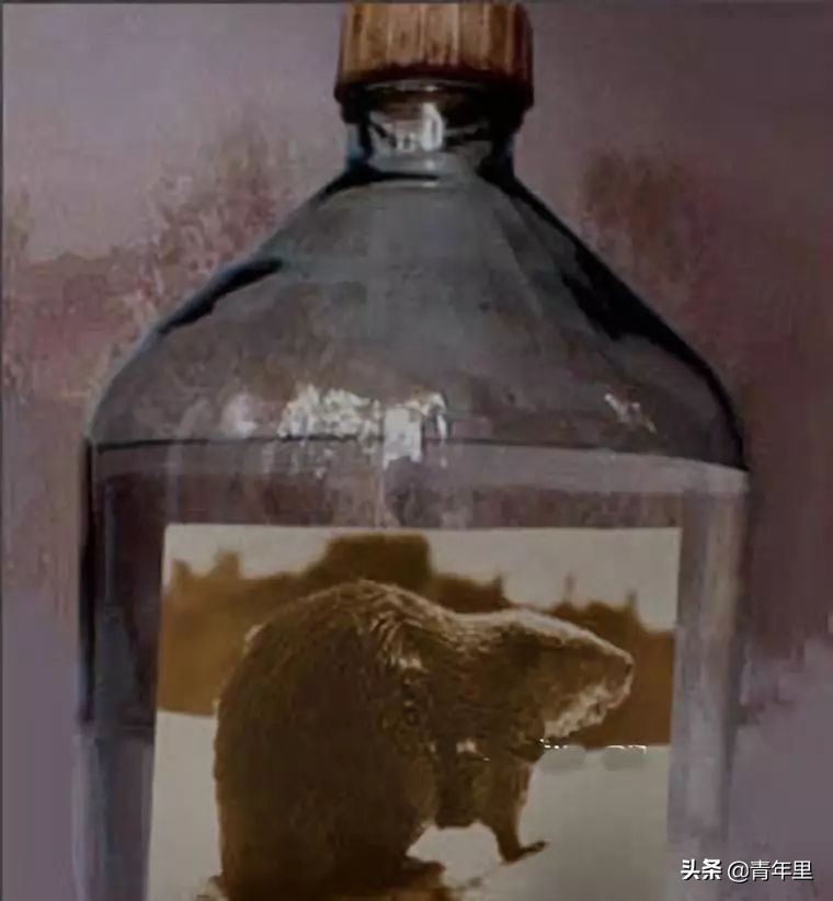 男性避孕针国内有了吗,男性避孕针首例