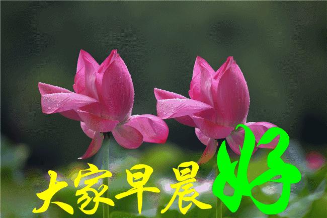 早上好周末愉快问候语动态表情包,周一问候早上好带字美图