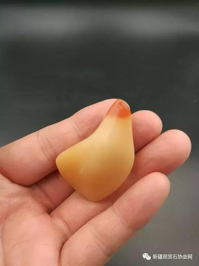 戈壁滩捡玉怎么分辨玉和石头,金丝玉三剑客戈壁滩捡金丝玉