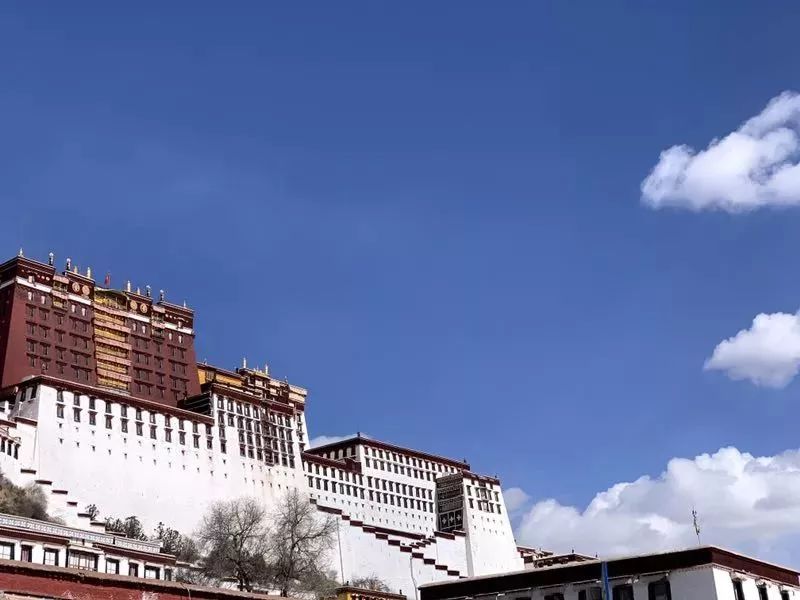 后期如何让照片更通透,后期如何修出动感的照片