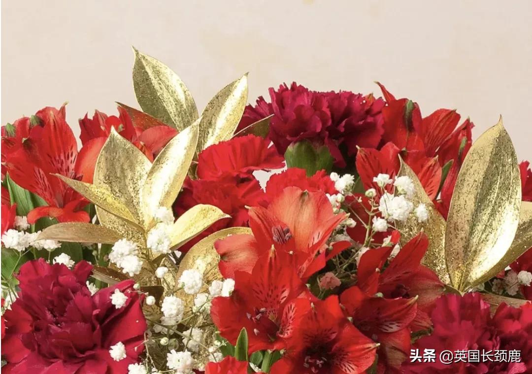 情人节来了怎么少的了fafa?英国鲜花速递服务大盘点:浪漫满分