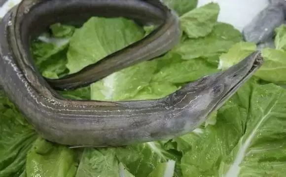 醴陵市海鲜收藏排行榜,海鲜礼盒收藏价格表图