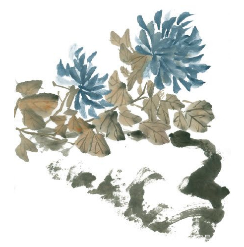 国画深秋篱菊风景写意,写意蓝菊花怎么画步骤图