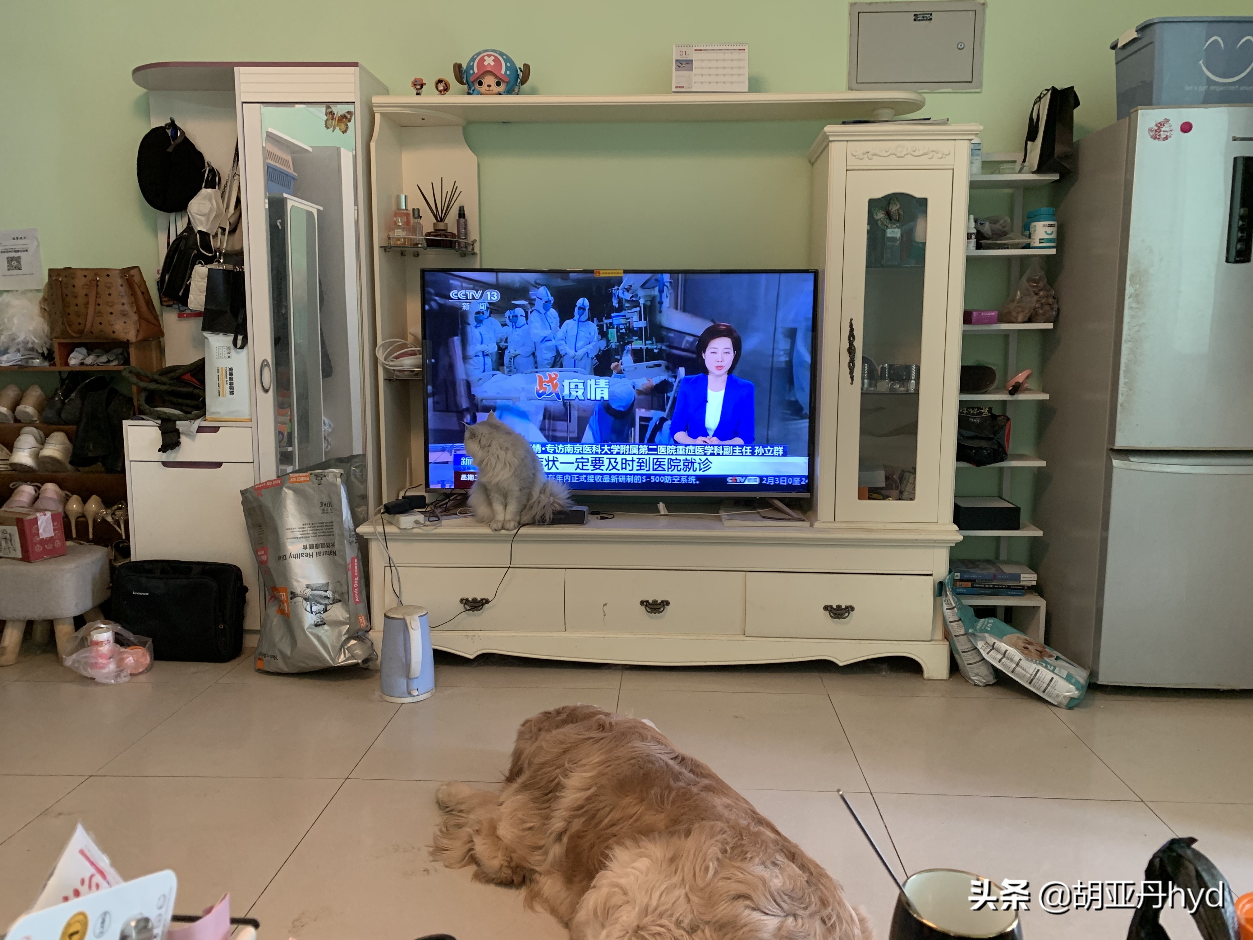 北京公寓租房踩雷,长租公寓北京爆雷目前的解决办法