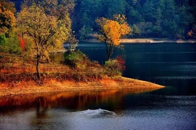秋天最美地方,秋天全部的风景