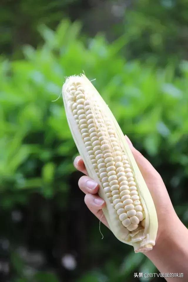 新鲜玉米甜糯生吃,没见过的玉米吃法吃一次就上瘾