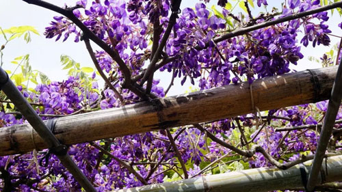 日本福冈旅游推荐,日本福冈旅游攻略必去景点