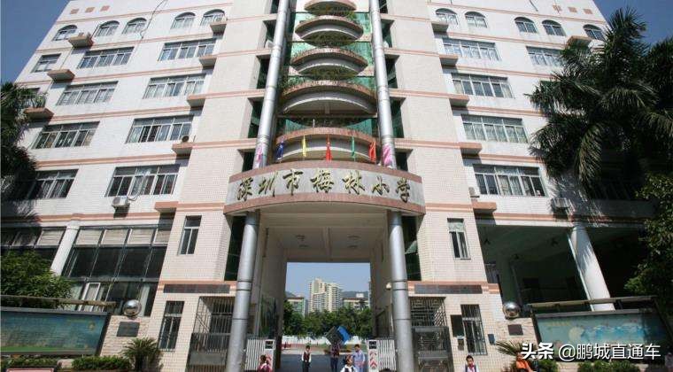 深圳新建的公办学校有哪些优缺点,深圳11所扩建学校名单