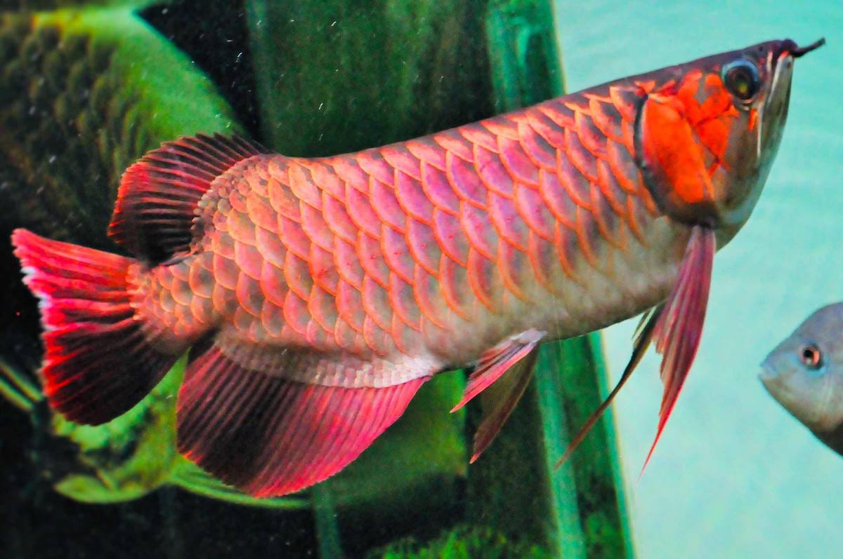 鱼友也分三六九等，看你属于哪类人群，我算普通鱼友