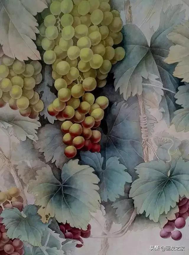 陈松岩工笔白描画全集,陈松岩工笔国画