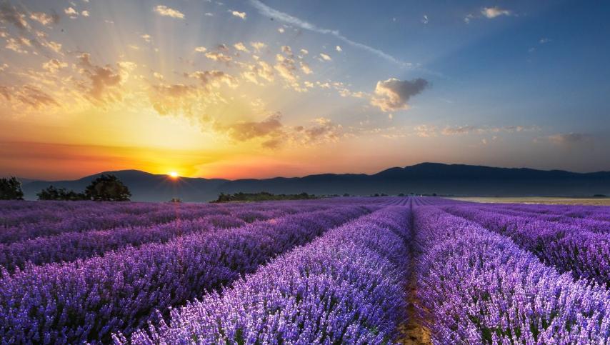 pdf分页打印如何操作,pdf分页保存怎么操作