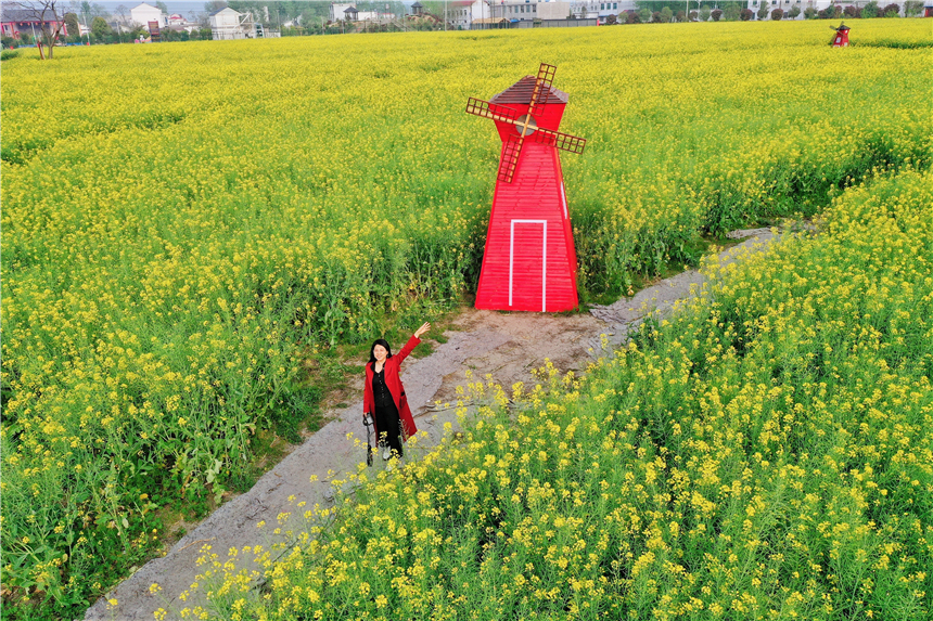 我和宿州有个约会,一场花事,一次慢旅行,探寻最烟火的宿州味道